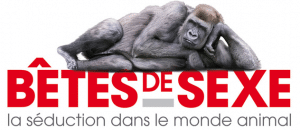 la sexualité des animaux, caractéristiques insolites